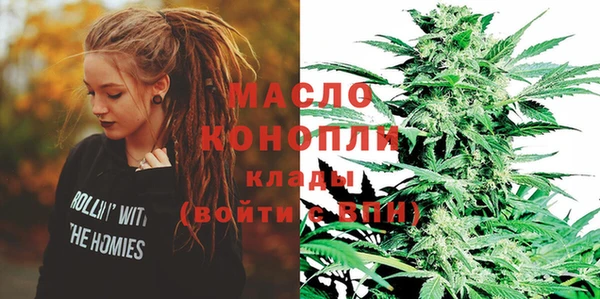 Альфа ПВП Инсар