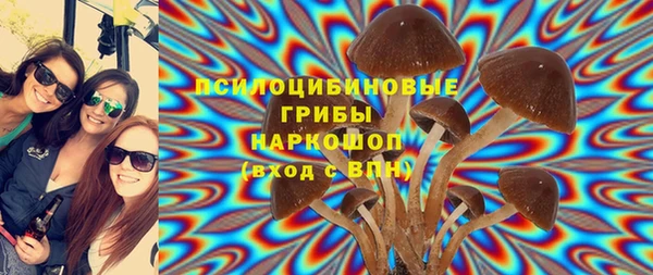 стафф Каменск-Шахтинский