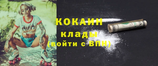 Альфа ПВП Инсар