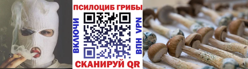 Купить закладки Борисоглебск Псилоцибиновые грибы мицелий
